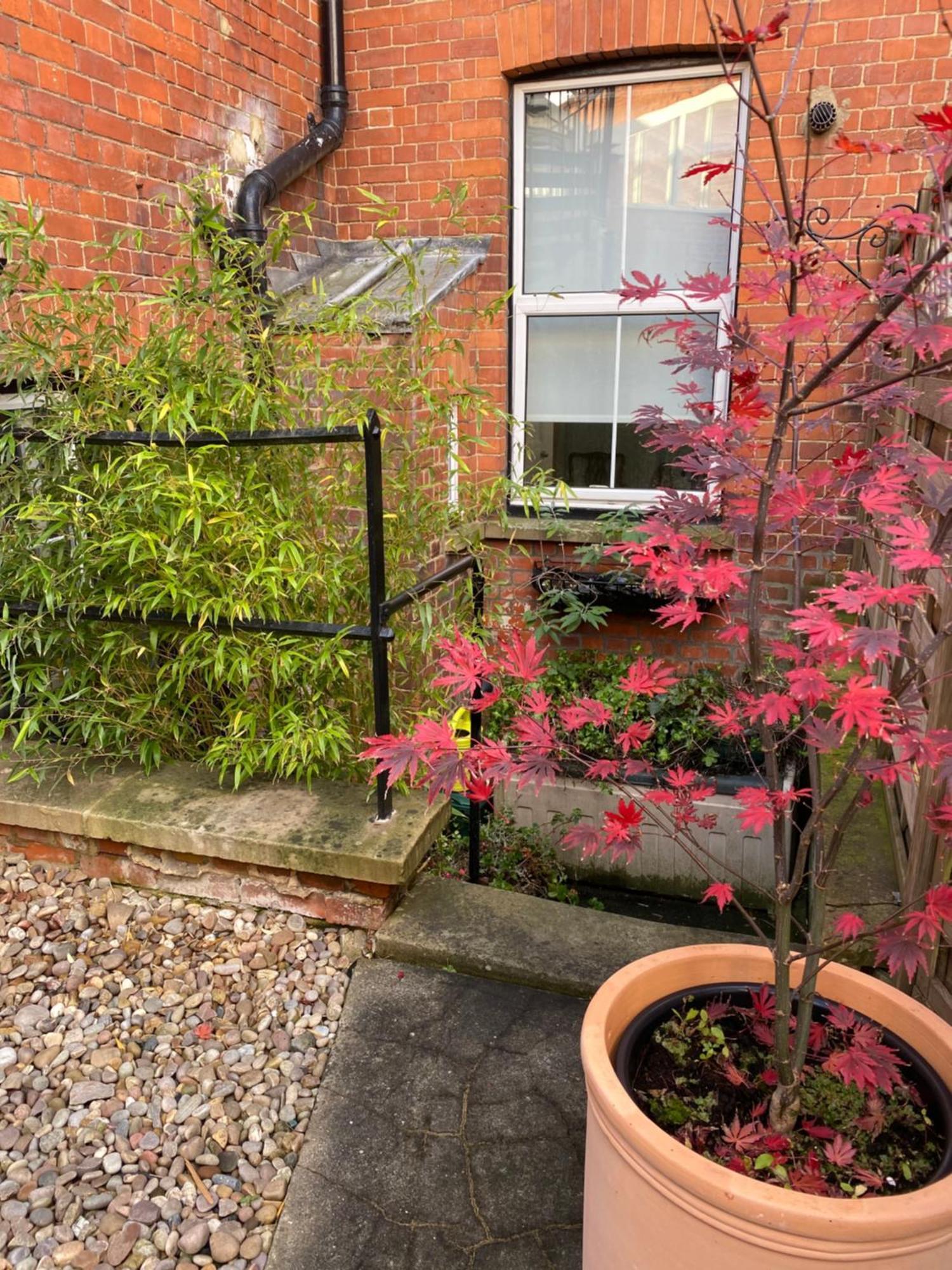 Deluxe Three Bed Bnb In Henley-On-Thames Near Station River & Town Centre Extérieur photo